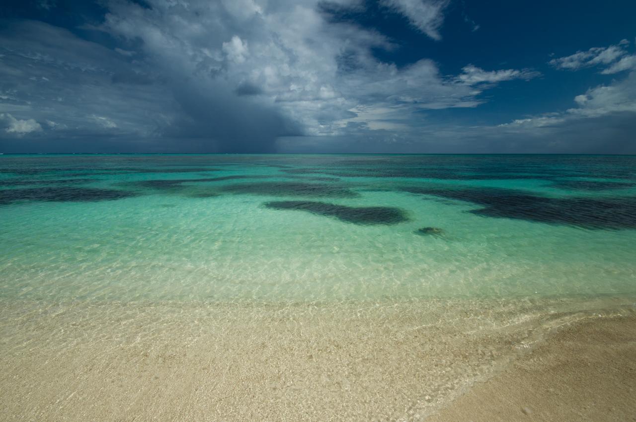Pavoreal Beach Resort Tulum Exteriér fotografie